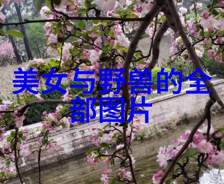 春节联欢晚会庆祝传统的喜事时刻
