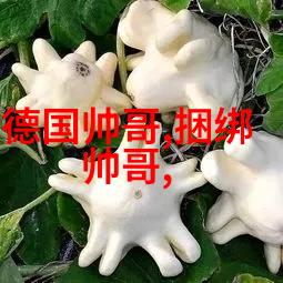 qq正能量群免费加入-活力共鸣开启QQ正能量交流社区的门户