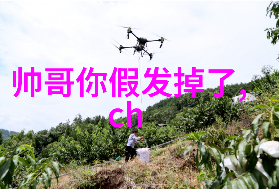洪武三十二电视剧会员大结局悬疑甜宠创新收官