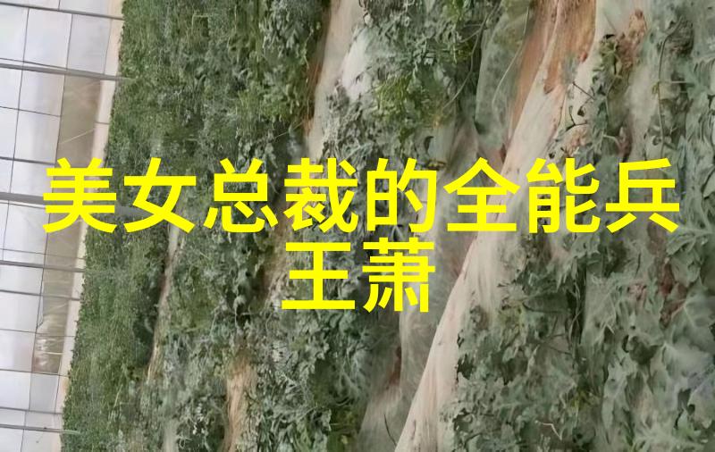 云商务网洒脱的说说激励你在数字风暴中稳健前行
