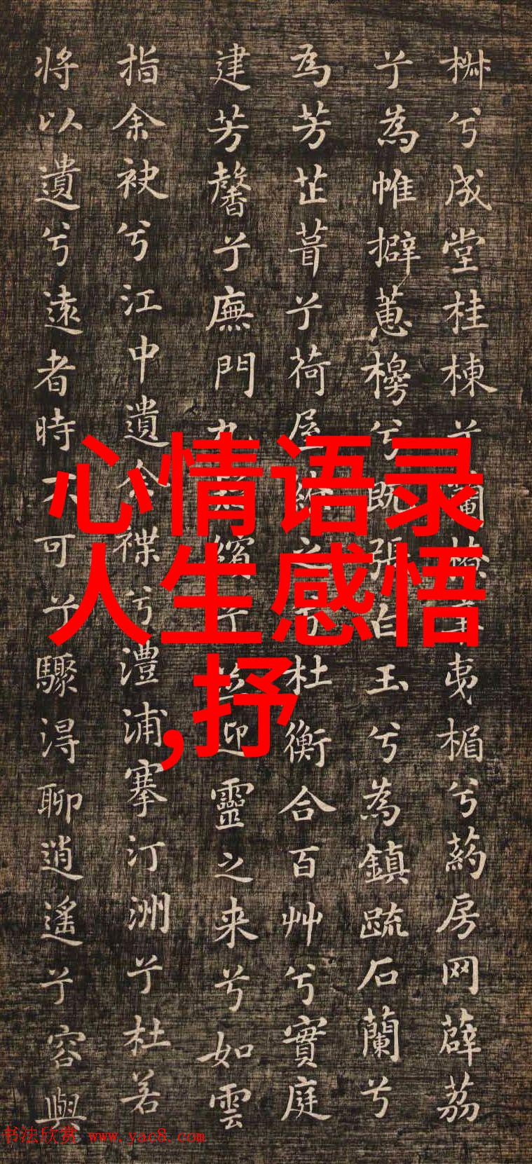 绽放的优雅赞美女人高雅气质与内外兼修的美丽