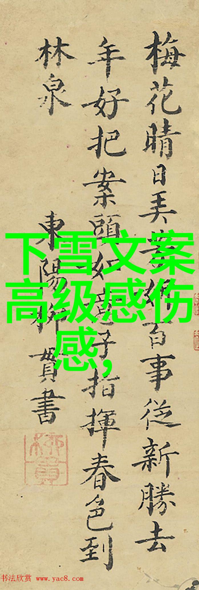 有文化高雅内涵的网名女生60岁却依旧简单气质那么她精选了58个名字你知道其中有哪些吗