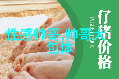 简短的高级祝福语-温馨精选致敬生活中的每一刻美好