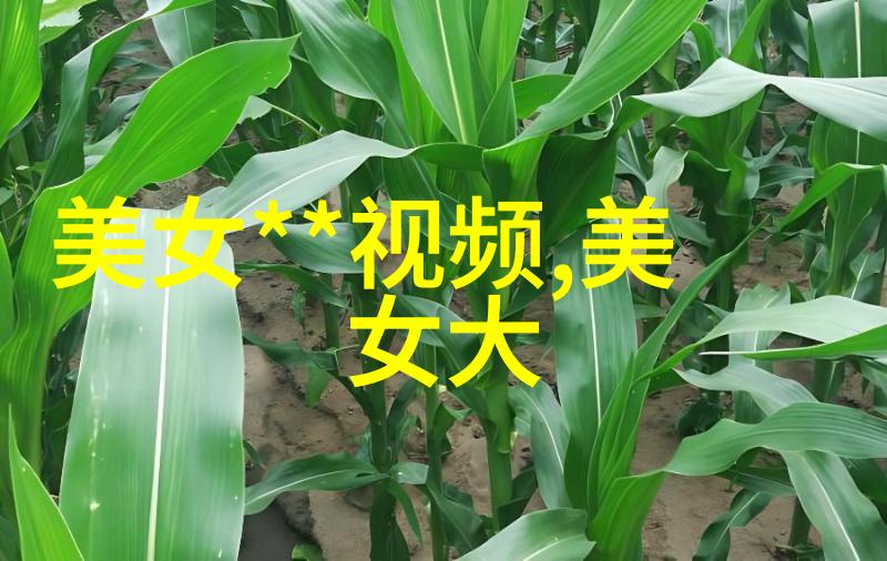 心痛的话语情感的断章