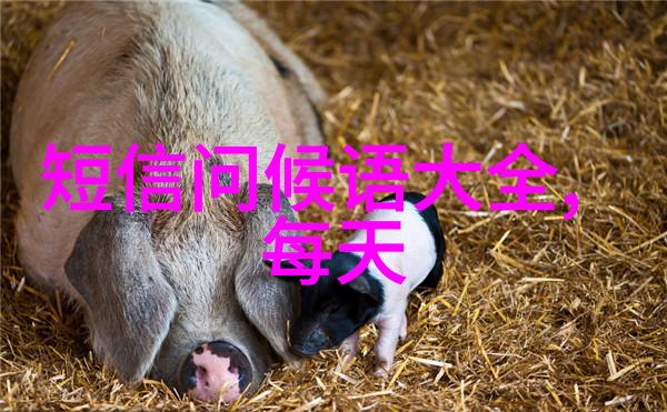 绮丽梦境中的仙子