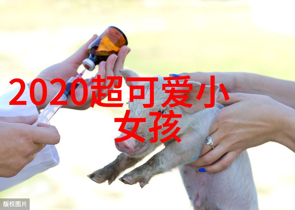 旋律中的糖果探索那些令人心动的可爱甜美歌名