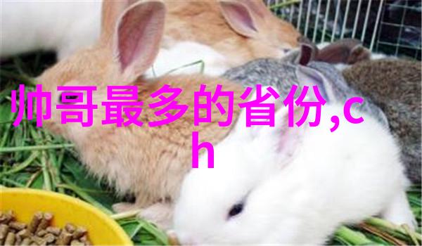 一天之初的问候有哪些字数少却大感染力的早安话语