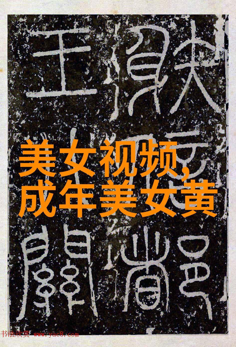 夜空清辉下孤鹊翱翔南望