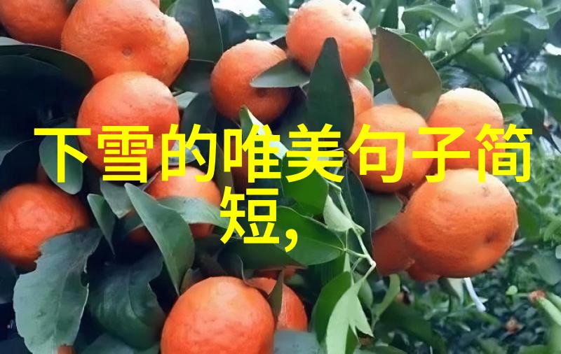 手绘动漫探索卡通可爱图片的创作魅力