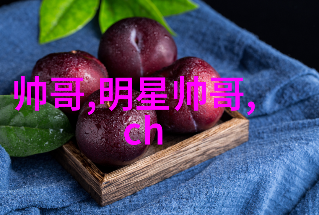 明星的安宁静默中的退休梦
