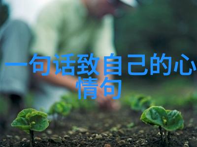 雪犁网红独家揭秘阿星被封后模仿主播遭网友嘲讽臭虫行为