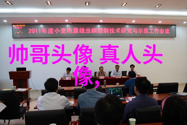 明星电力的光芒打造可持续能源未来