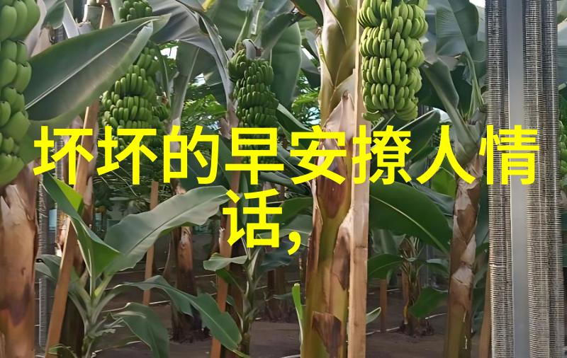 花心婆娘的爱情三部曲从帅哥到老公再到孙子