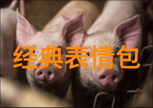 鬼畜全明星怪诞奇幻的娱乐盛宴
