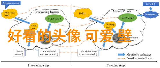 清晨问候的温馨旋律