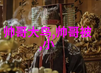 美丽的接吻他她之间的温柔碰撞