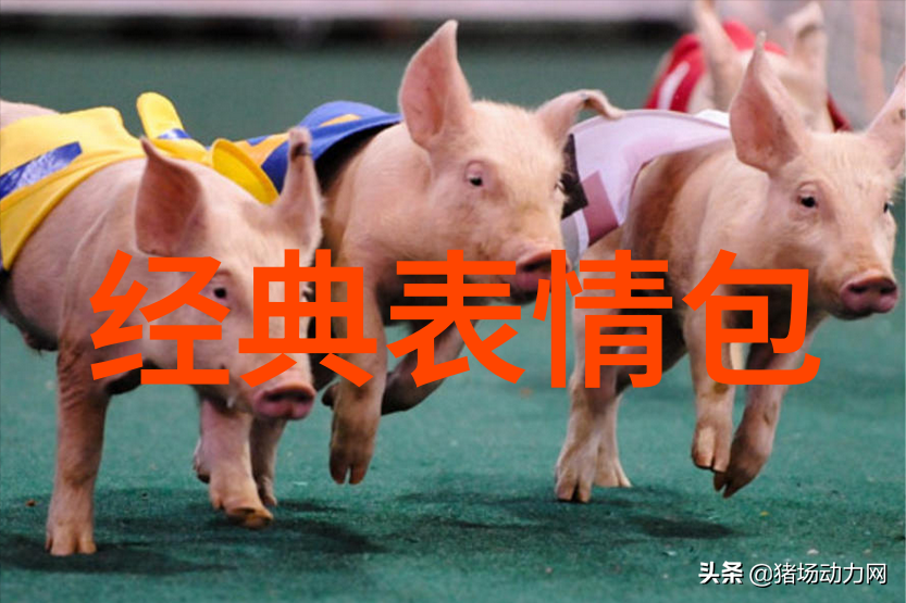 面膜滋养深层肌肤营养与修复