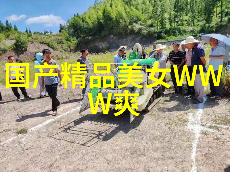 每个清晨都是新的开始  最新很人性化社区服务项目介绍