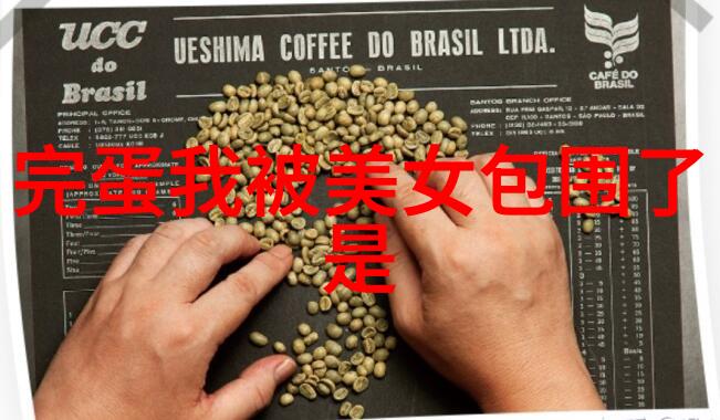 春日绘花间诗意的瞬间