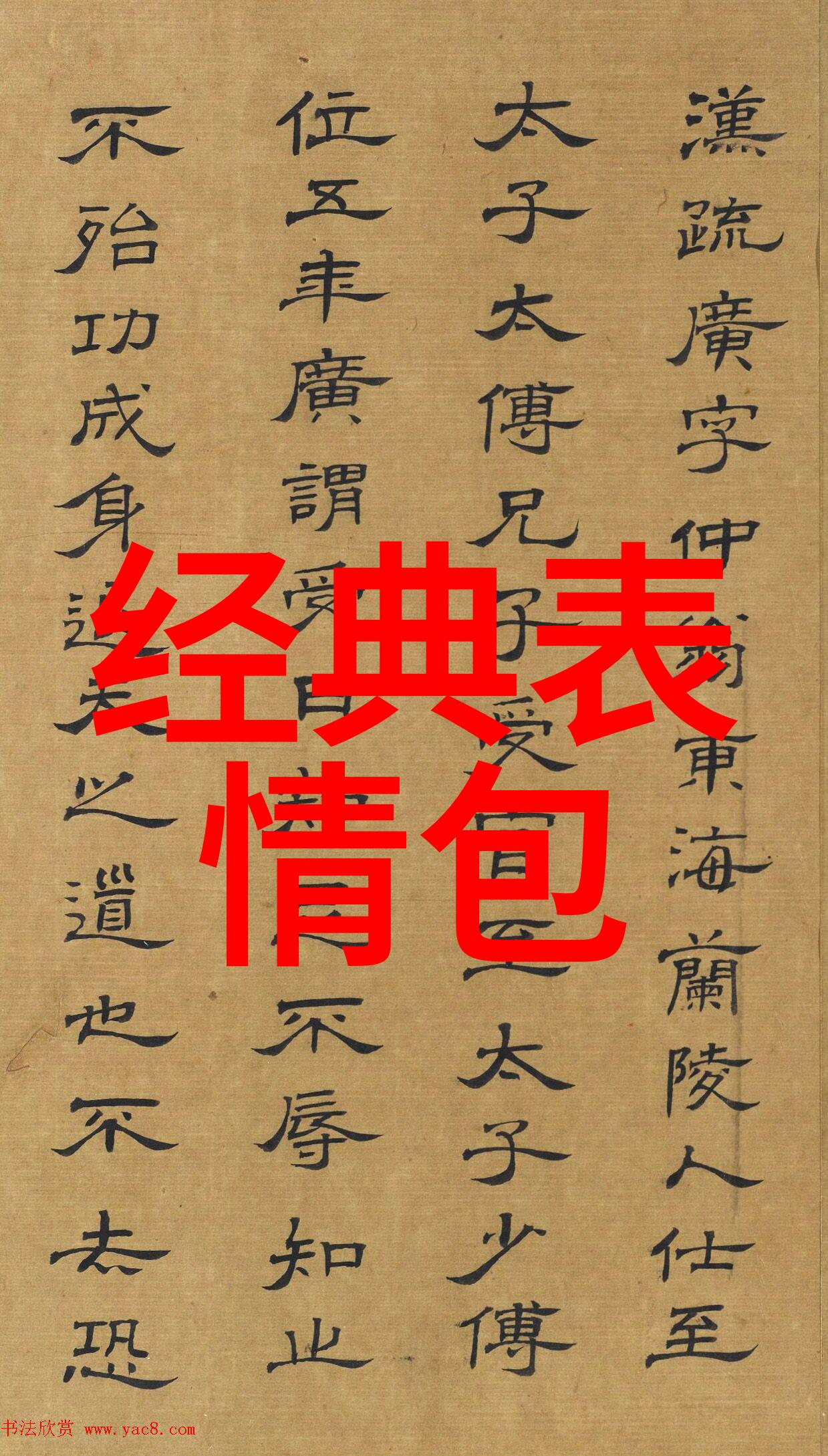 女生头像照片可爱她那张小脸蛋一照就让人心动