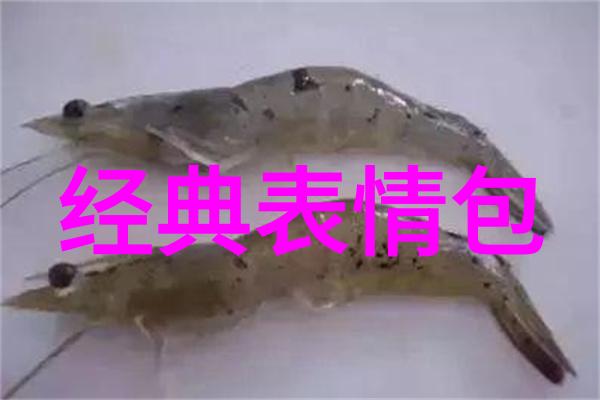 421页pdf哪个最恶心主题曲解密周深的了不起的歌词深度剖析