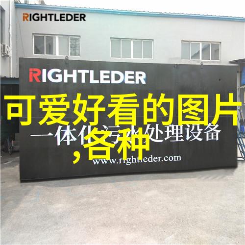 恐怖片巅峰之作揭秘冠军影片的惊悚魅力