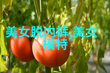 青春如炬不能被绵薄的失败所熄灭充满斗志野心的网名全集点亮你的经典之路