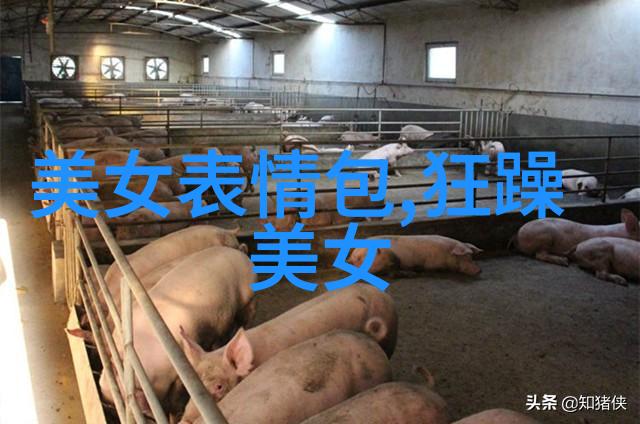 静谧的晨曦一个简单画面的深刻故事
