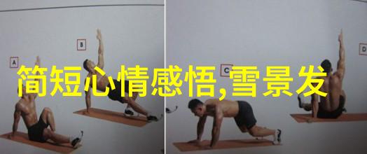如何挑选适合室内养的50种小动物并掌握其饲养攻略
