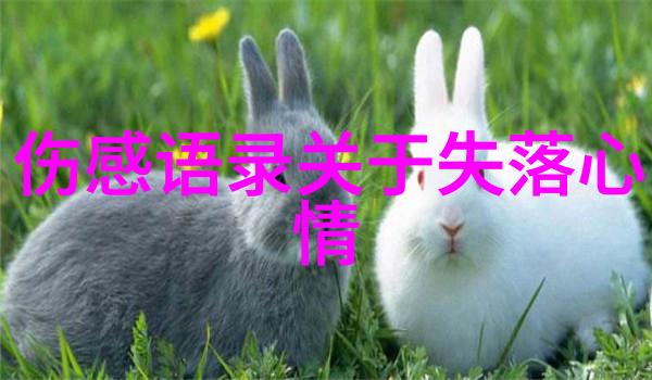 四大美女从古典神话到现代时尚的反差之旅