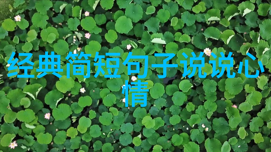 超萌盛宴探索卡通壁纸的可爱魅力