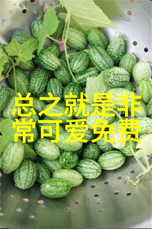 独一无二的生日祝福语 - 为您量身定制温馨独特的生日庆典词汇