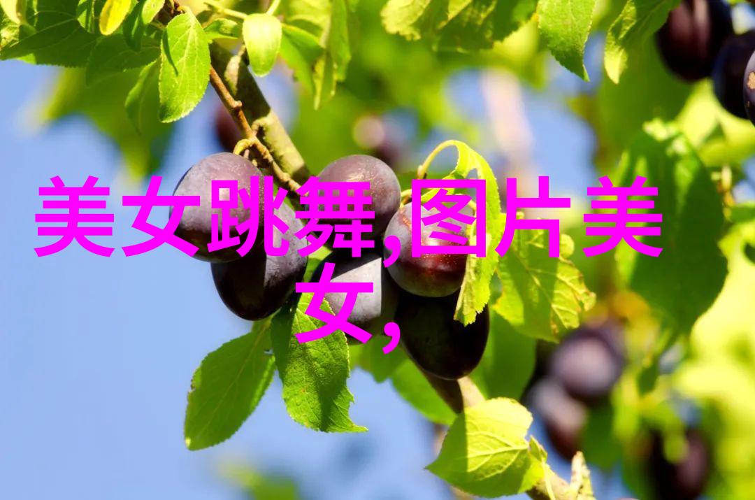 明星表情包网络红人日常趣事集锦