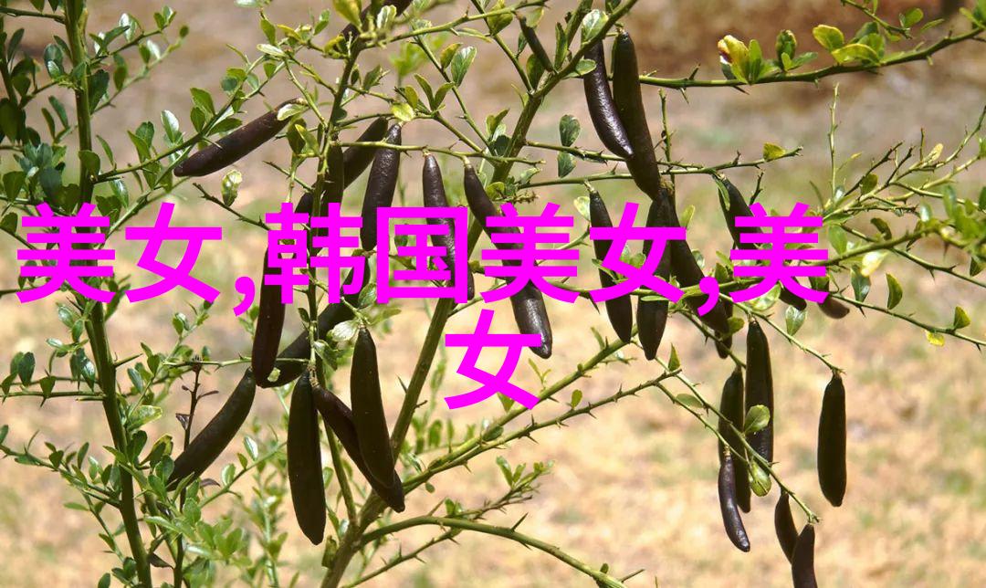 森系复古微博网名2018精选犹如情侣间偷偷相拥的温柔时刻让时间在煮酒喝之间悄然流逝