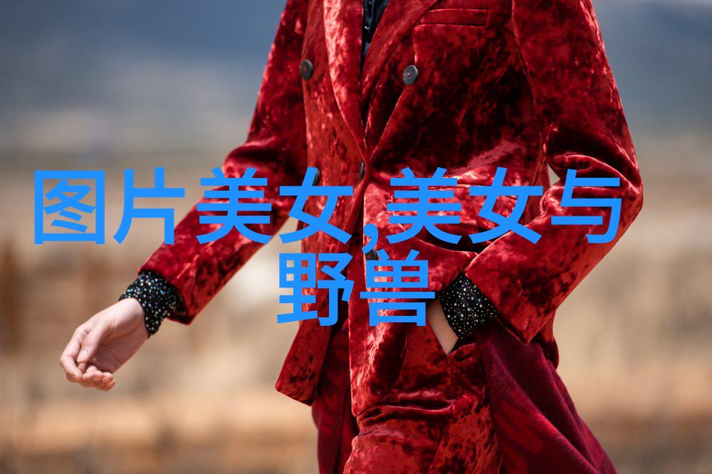 冰封诗篇描绘雪景的简洁语言艺术