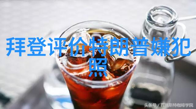 我真是大明星 - 星光闪耀的奇遇记