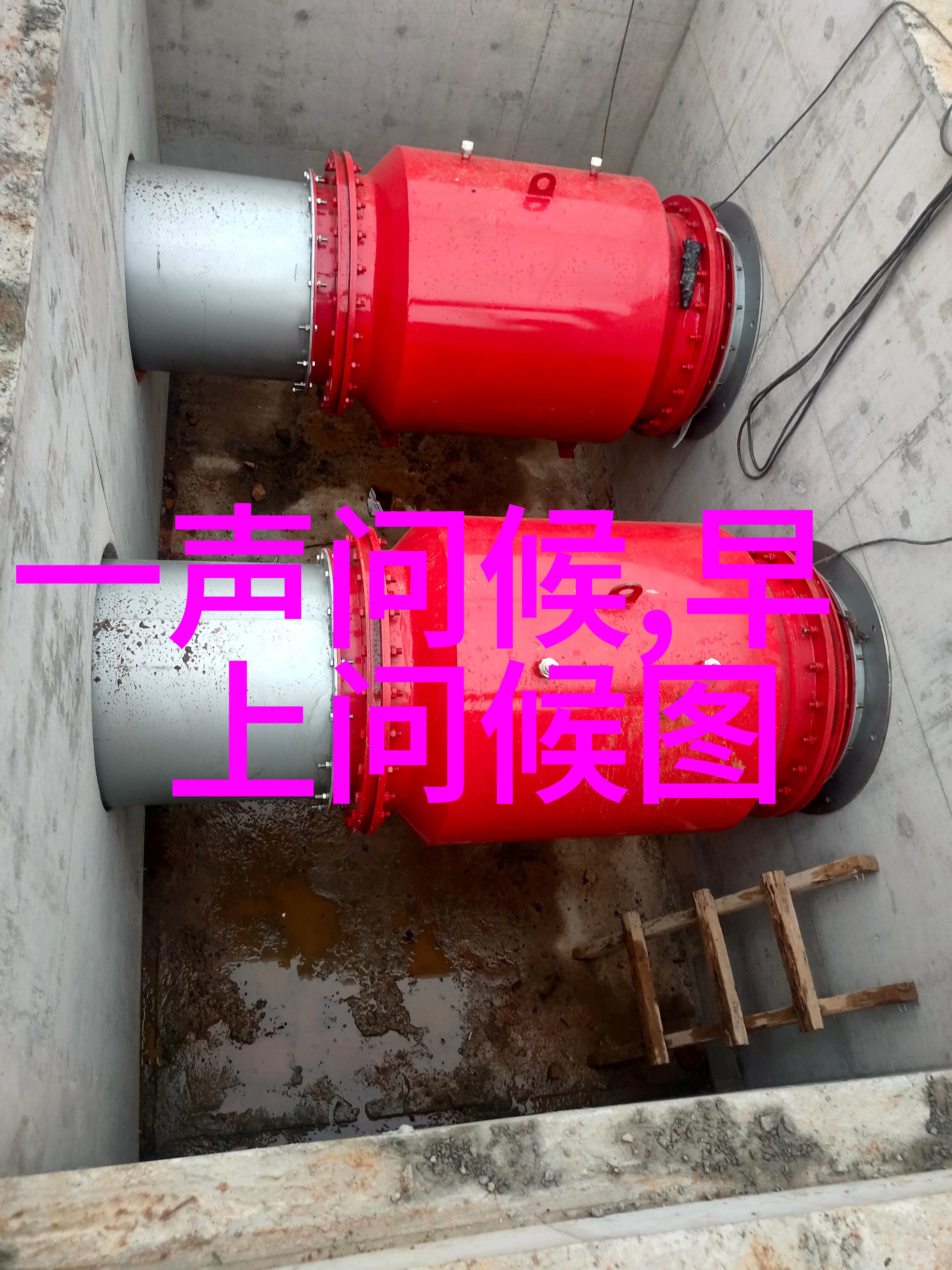 这个祭祀活动有什么特别的意义吗
