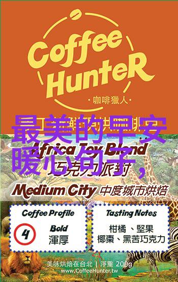 免费交友聊天不花钱软件-轻松相逢探索最棒的无偿社交应用