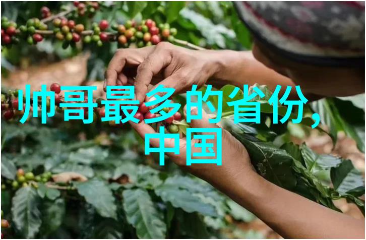 秦姓男生2023微信昵称之谜揭秘洋气名字全集