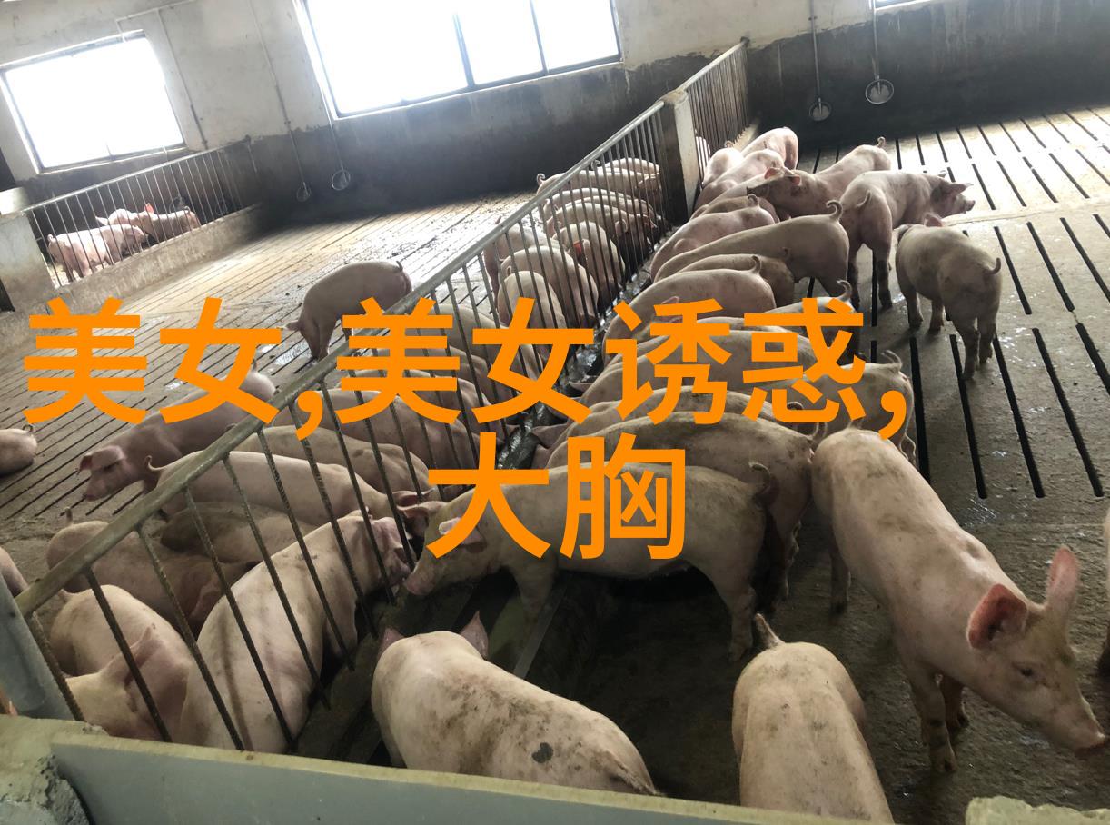 美女如云我在街头遇见了一个小镇上的美丽传说