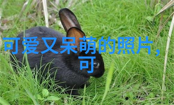 男人背后的摄影探索帅哥照片的艺术之美