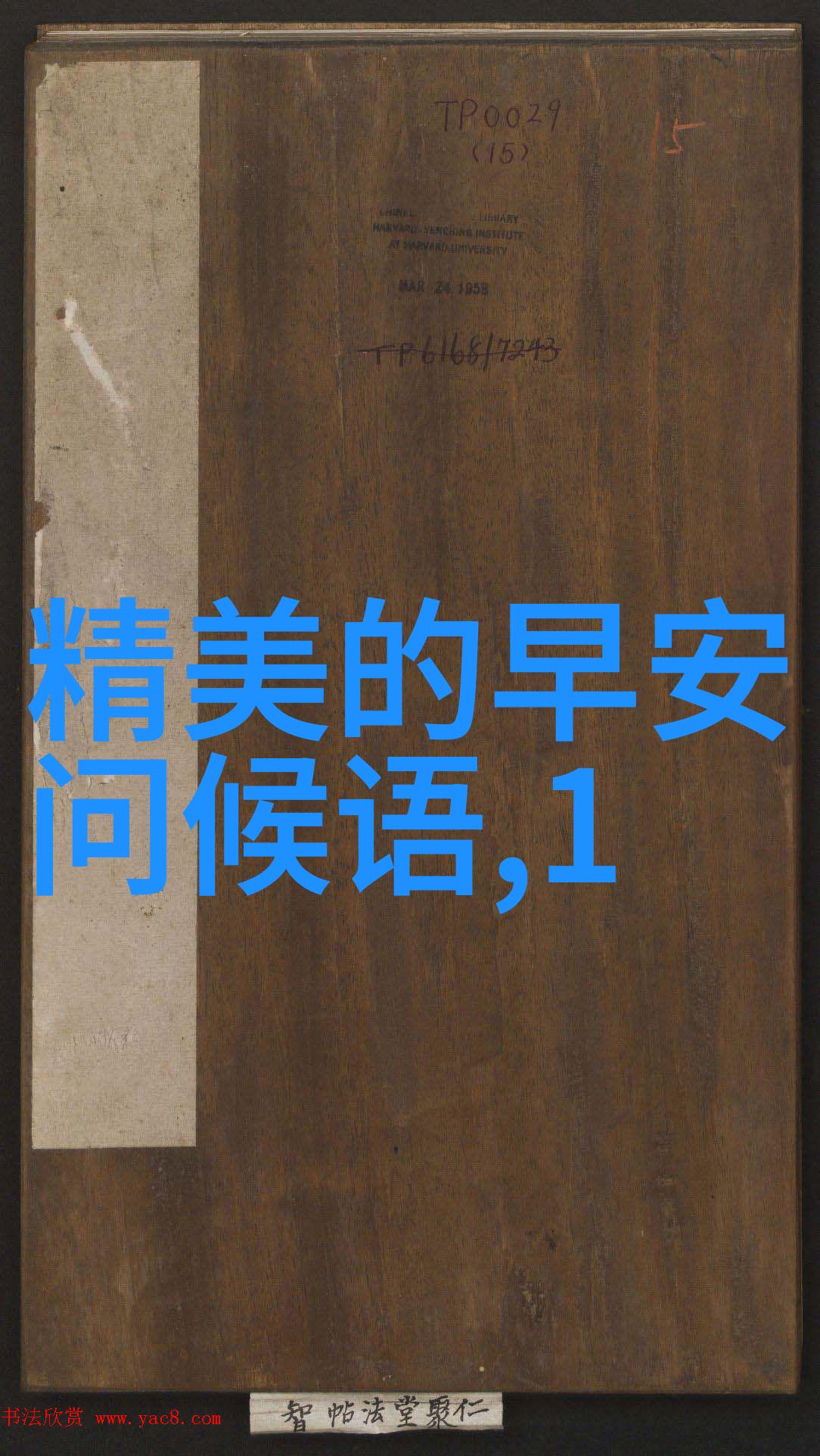 陈瑾如台湾近况分析