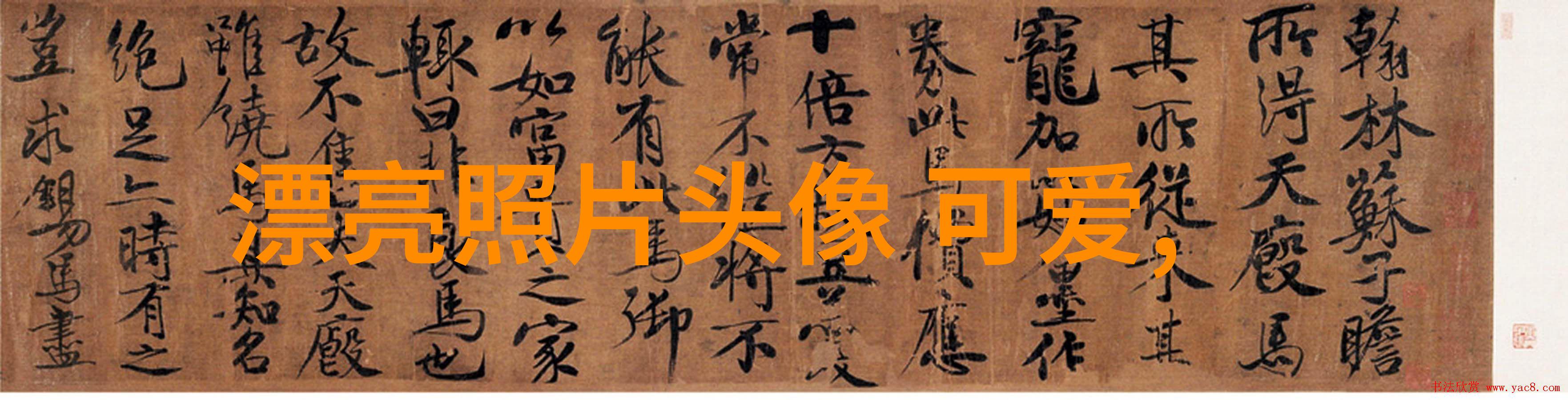 绑架美女命运的逆袭与爱情的重生