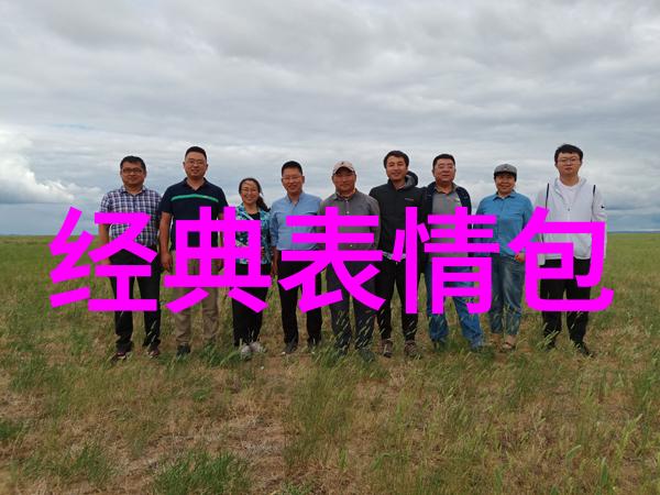 宠樱花间的守护者与爱的绽放