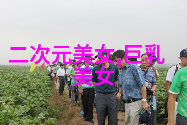 我来告诉你咱们了解一下少数民族的那些传统节日吧