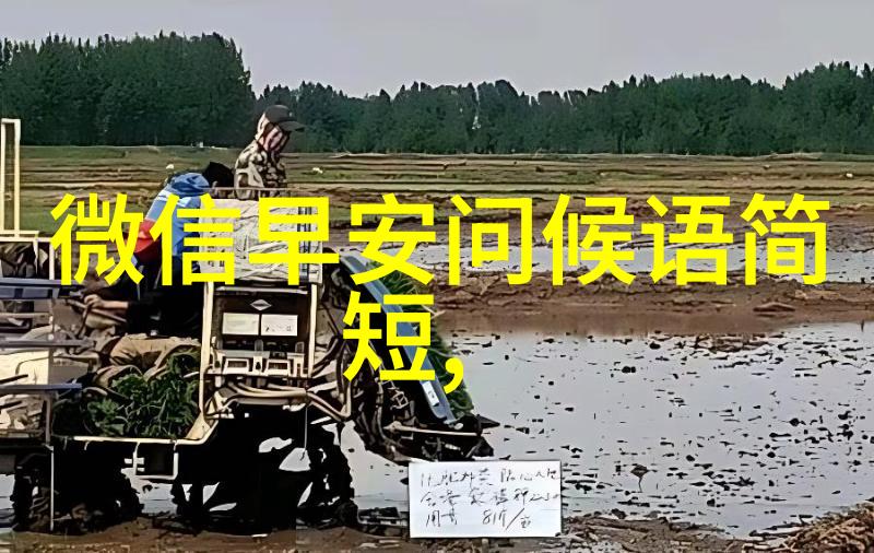 360新闻狗狗身上的细菌如何通过物品传播给人