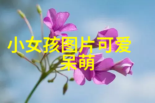 武汉滴滴司机群聊曝光揭开城市出行背后的真相