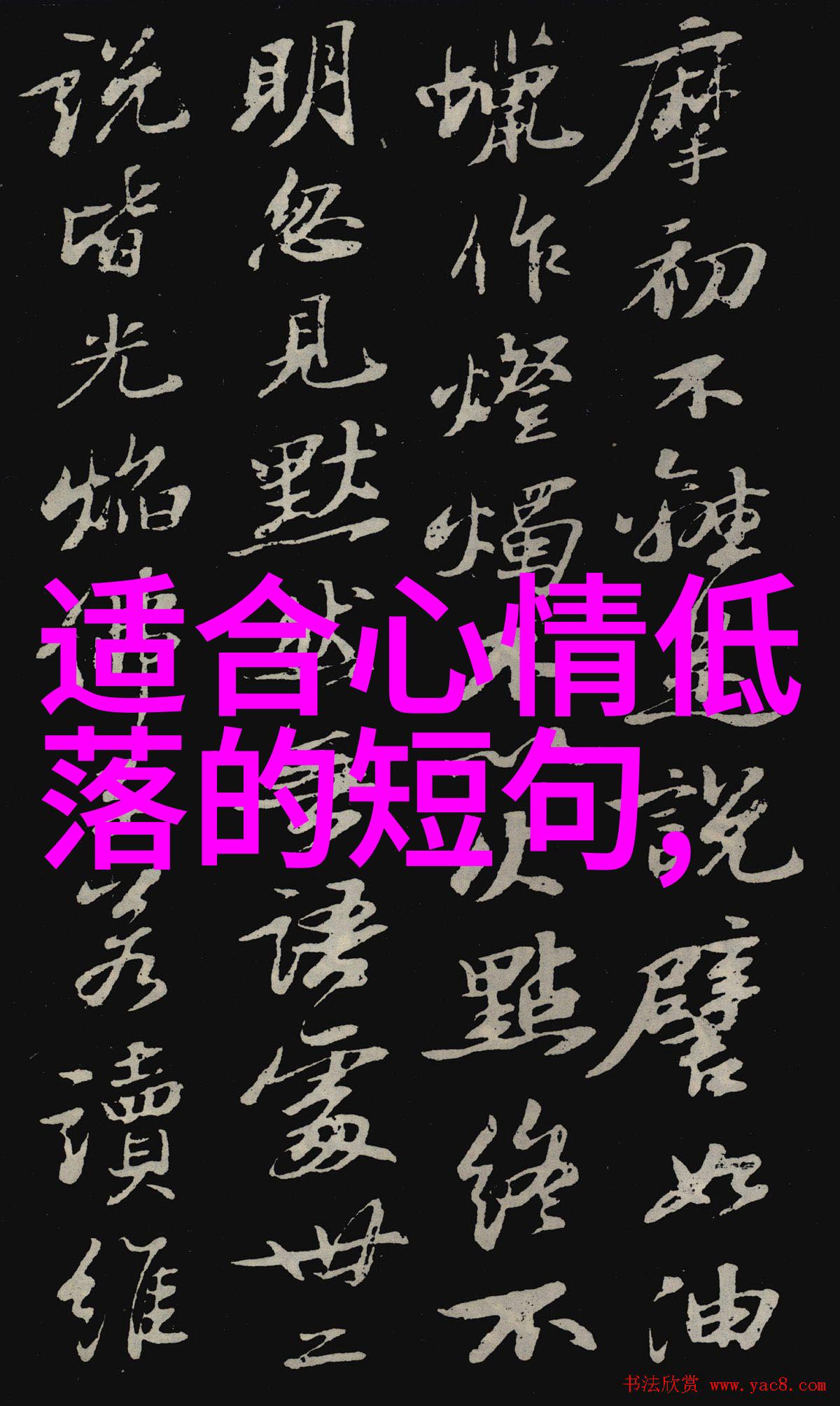 天使般的存在观察与分析当代流行文化中的美女明星现象