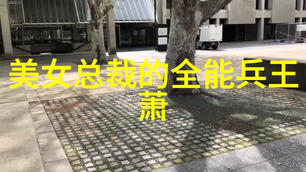 生活的无奈与艰辛人生苦短面对生活中的困难和挑战