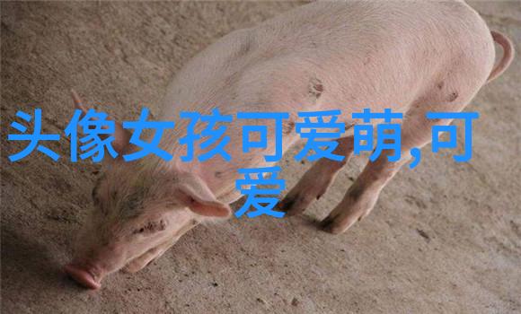 2022年最流行的文字艺术图片字体设计手绘字母文案创意
